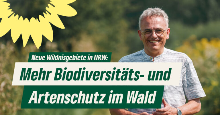 Neue Wildnisgebiete in NRW: Ein wichtiger Schritt für mehr Biodiversitäts- und Artenschutz im Wald