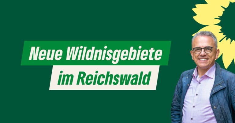 Neue Wildnisgebiete im Reichswald: Ein wichtiger Schritt für mehr Biodiversitäts- und Artenschutz im Wald