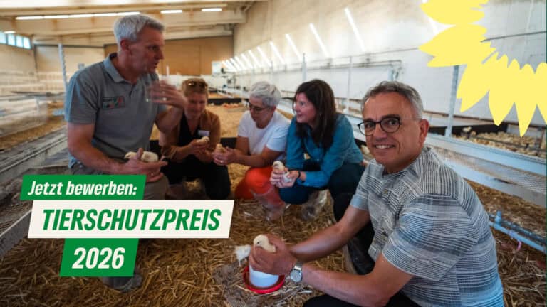 Tierschutzengagement sichtbar machen