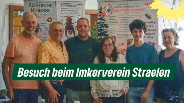 Asiatische Hornisse und andere Bedrohungen für die Honigbiene