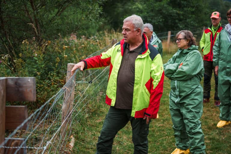 Bekämpfung der Afrikanischen Schweinepest im Sauerland