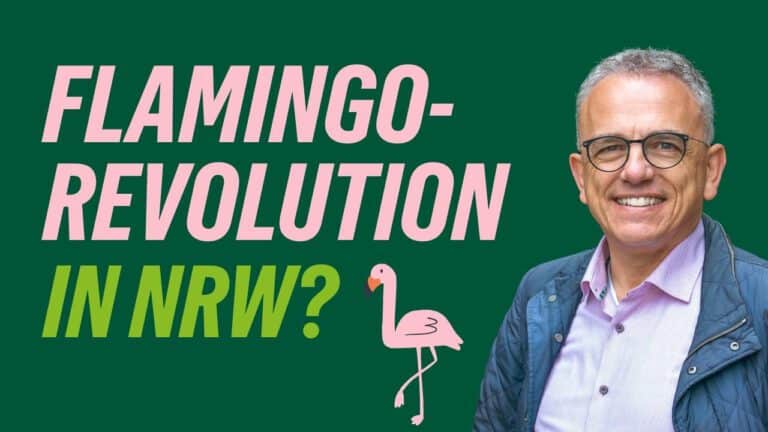 Die Flamingo-Revolution in NRW?